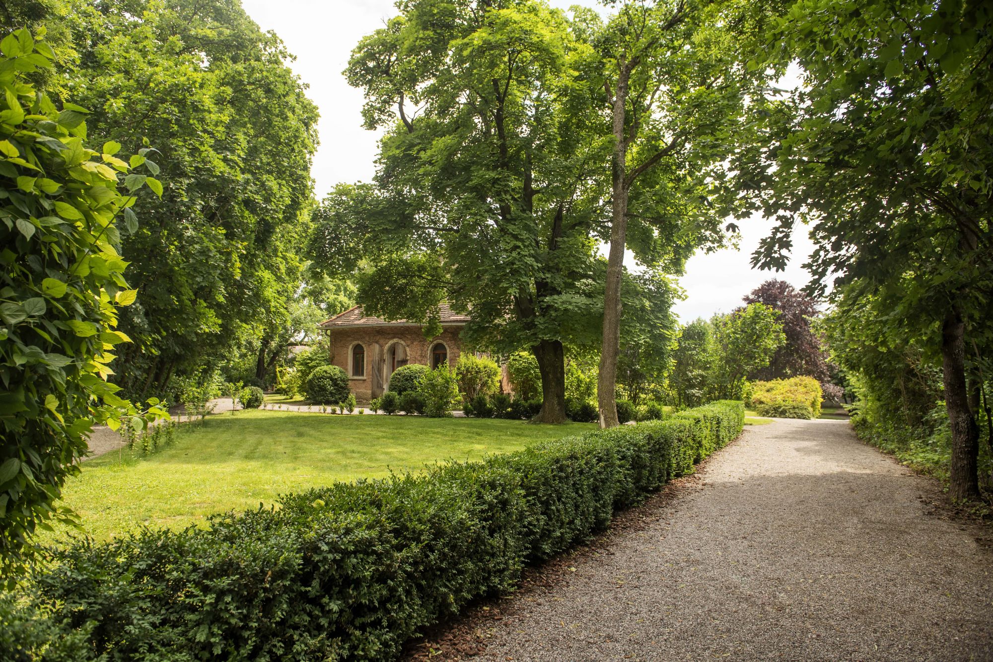 Schwarz Hirsch Location Schloss Guntersdorf